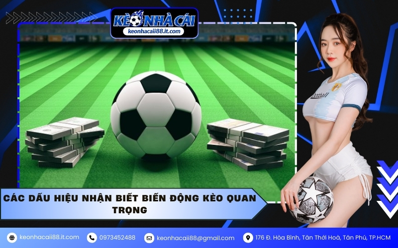 Các dấu hiệu nhận biết biến động kèo quan trọng